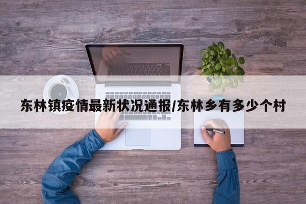 东林镇疫情最新状况通报/东林乡有多少个村