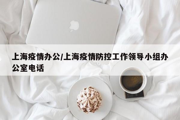 上海疫情办公/上海疫情防控工作领导小组办公室电话