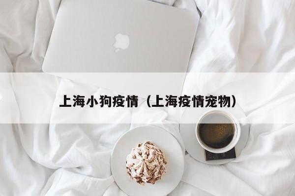 上海小狗疫情（上海疫情宠物）