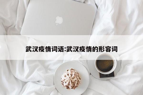 武汉疫情词语:武汉疫情的形容词