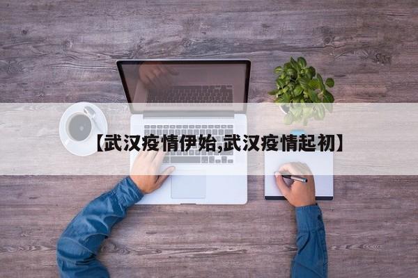【武汉疫情伊始,武汉疫情起初】