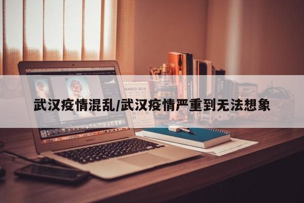 武汉疫情混乱/武汉疫情严重到无法想象