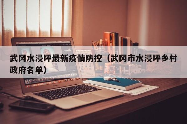 武冈水浸坪最新疫情防控（武冈市水浸坪乡村政府名单）
