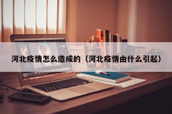 河北疫情怎么造成的（河北疫情由什么引起）